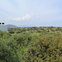 Land plot in Greece, Crete