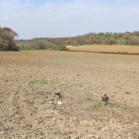 Land plot in Greece, Central Macedonia, Center