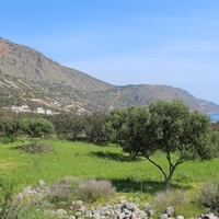 Земельный участок в Греции, Крит