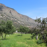 Земельный участок в Греции, Крит