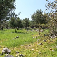 Земельный участок в Греции, Крит