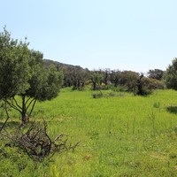 Земельный участок в Греции, Крит