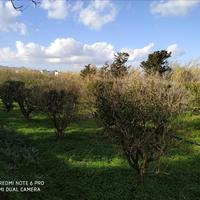 Land plot in Greece, Crete, Chania