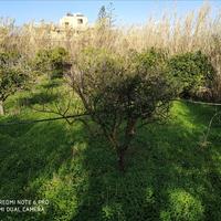 Land plot in Greece, Crete, Chania
