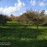 Land plot in Greece, Crete, Chania