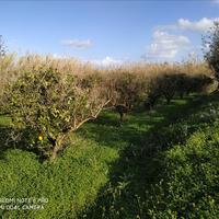 Land plot in Greece, Crete, Chania