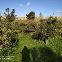 Land plot in Greece, Crete, Chania