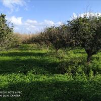 Land plot in Greece, Crete, Chania