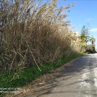 Land plot in Greece, Crete, Chania