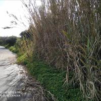 Land plot in Greece, Crete, Chania