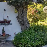 Other in Greece, 70 sq.m.