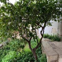 Other in Greece, Attica, Athens, 79 sq.m.