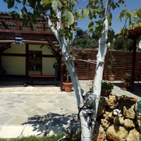 Другое в Греции, Центральная Македония, Центр, 50 кв.м.