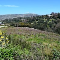 Земельный участок в Греции, Крит