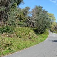 Другое в Греции, Ионические острова, 450 кв.м.