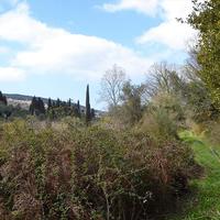 Land plot in Greece, Ionian Islands