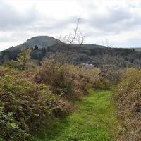 Land plot in Greece, Ionian Islands