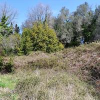 Land plot in Greece, Ionian Islands