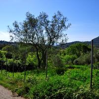 Land plot in Greece, Ionian Islands, 110 sq.m.