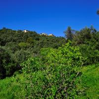 Land plot in Greece, Ionian Islands, 110 sq.m.