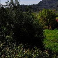 Land plot in Greece, Ionian Islands, 110 sq.m.