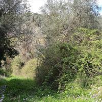 Land plot in Greece, Ionian Islands