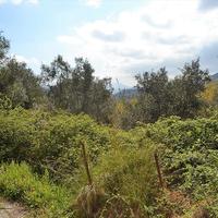 Land plot in Greece, Ionian Islands