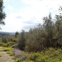Land plot in Greece, Ionian Islands