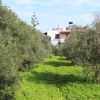 Land plot in Greece, Crete