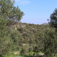 Land plot in Greece, Crete