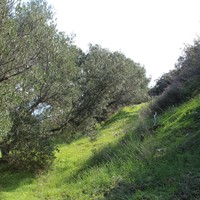 Land plot in Greece, Crete