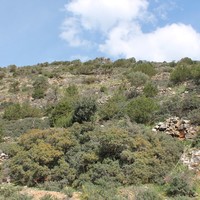 Земельный участок в Греции, Крит
