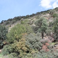 Земельный участок в Греции, Крит