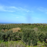 Land plot in Greece, Crete