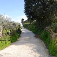 Land plot in Greece, Crete