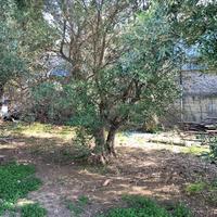 Другое в Греции, Центральная Македония, Центр, 708 кв.м.