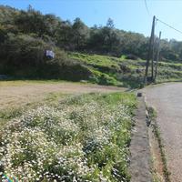 Land plot in Greece, Ionian Islands