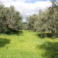 Земельный участок в Греции, Крит