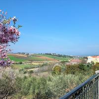 Other in Greece, Central Macedonia, Center, 340 sq.m.