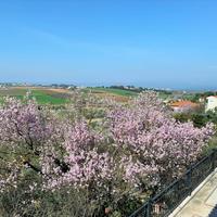 Other in Greece, Central Macedonia, Center, 340 sq.m.