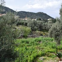 Other in Greece, Crete, 215 sq.m.