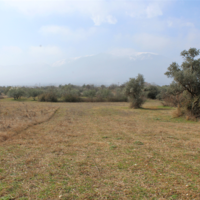 Земельный участок в Греции, Центральная Македония, Центр