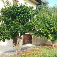 Other in Greece, Central Macedonia, Center, 220 sq.m.