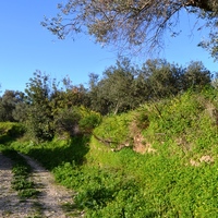 Land plot in Greece, Crete, Chania