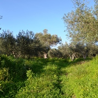 Land plot in Greece, Crete, Chania