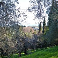 Земельный участок в Греции, Ионические острова