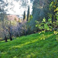 Земельный участок в Греции, Ионические острова