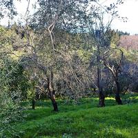 Земельный участок в Греции, Ионические острова