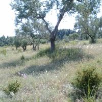 Земельный участок в Греции, Центральная Македония, Центр