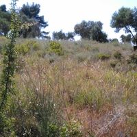 Земельный участок в Греции, Центральная Македония, Центр